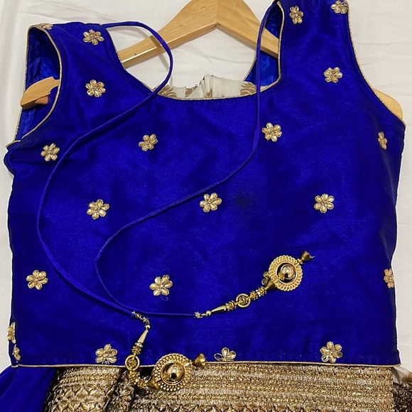Blue and White Lehenga - Picture 2 of 7